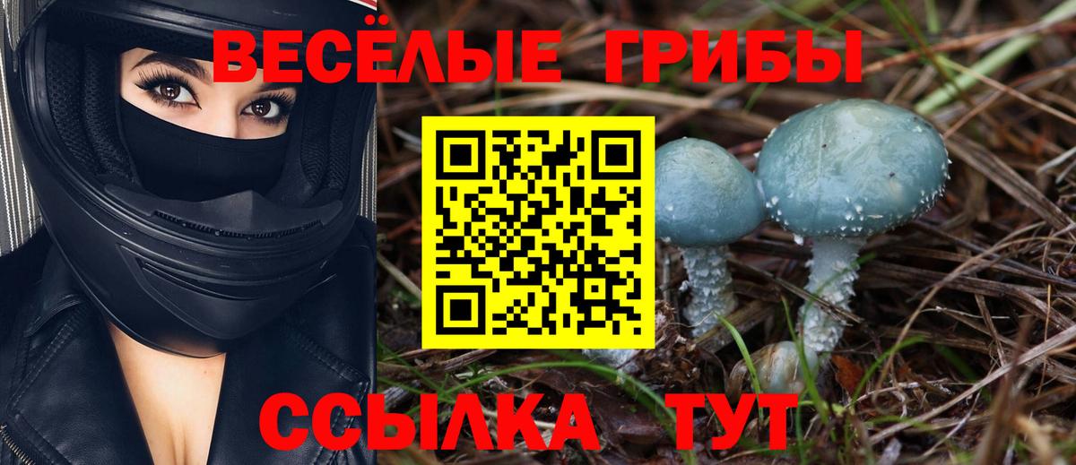 Псилоцибиновые грибы GOLDEN TEACHER Тольятти