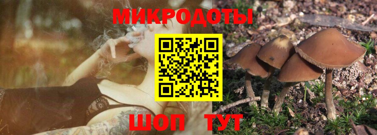 Псилоцибиновые грибы мицелий  Псилоцибиновые грибы прущие грибы  Вход с VPN  Тольятти 